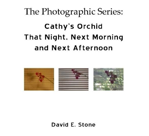 Cover of Cathy's Orchid - That Night, Next Morning and Next Afternoon